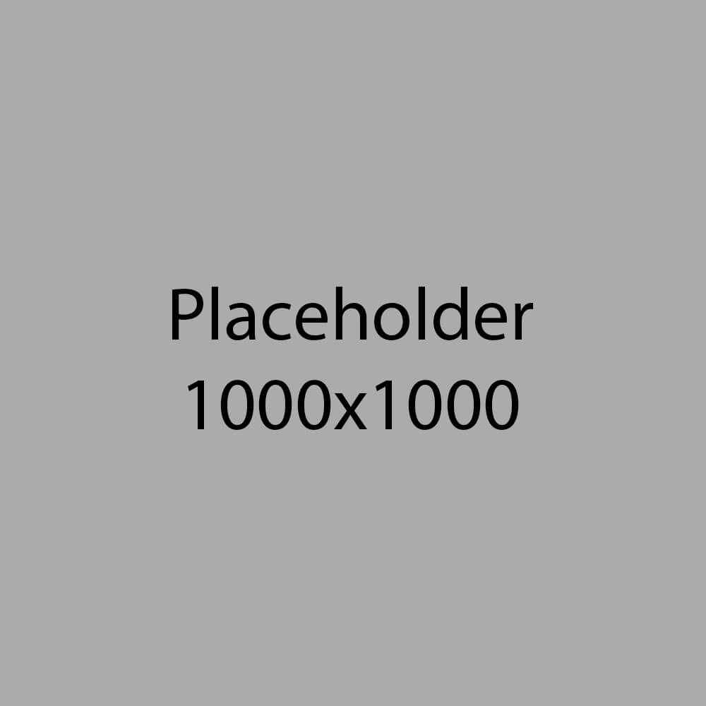placeholder-1000-1000